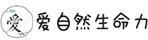 横琴爱自然生命力文化传播有限公司